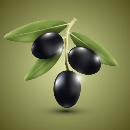 Dark olive on a green background, vector illustration.のイラスト素材