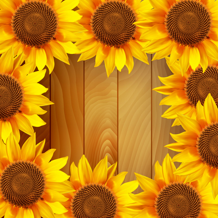 Sunflower flowers arranged in a circle on a wooden background. illustration.のイラスト素材