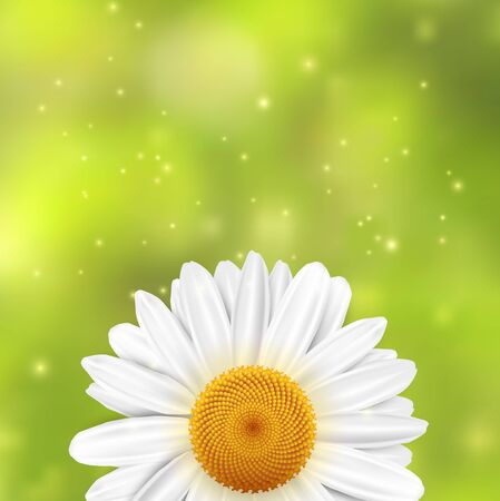 Daisy flower on a green blurred background with sparkles. illustration.のイラスト素材