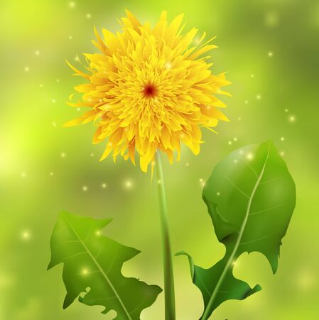 Dandelion on a green blurred background with sparkles, illustration.のイラスト素材