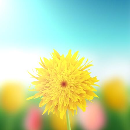 Dandelion on a blurred background, illustration.のイラスト素材