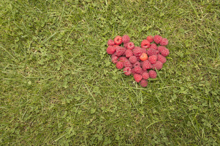 Heart, laid out on the grass raspberries