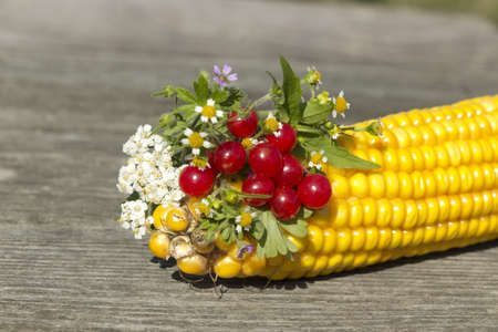 Thr bouquet of flowers and berries with cornの写真素材