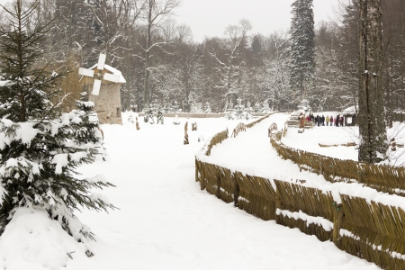 Snow-covered road in the colorful winter forestの写真素材