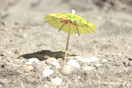 Small paper umbrella on the beach near the sea shellsの写真素材