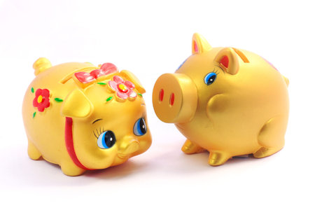 savings pigの写真素材