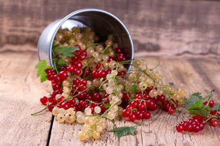 Red and white currant in a tin bucket on rustic wooden background.