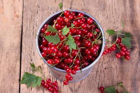 Red currant in a tin bucket on rustic wooden background.の写真素材