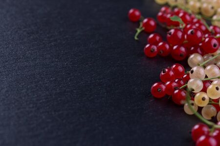 Red and white currant on black slate background. Copyspace.の写真素材