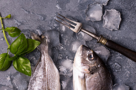 Raw delicious fresh fish on ice on dark gray background. Gilt-head sea bream fish on ice. Decorated...