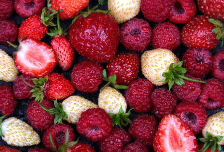 Various fresh summer berries. Strawberry, raspberry and wild strawberry. Top viewの写真素材
