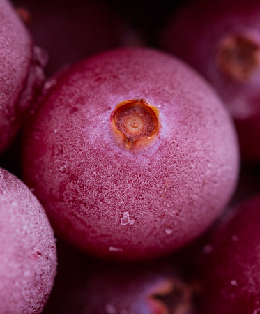 Close up of frozen cranberries. Healthy frozen berries.の写真素材