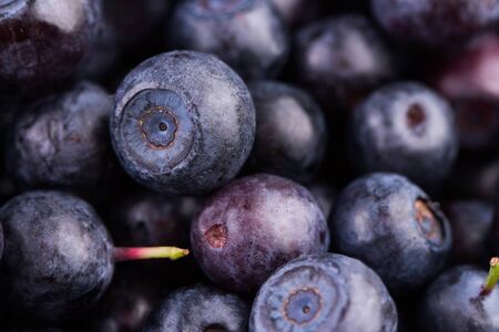 Freshly picked blueberries. Juicy and fresh blueberries. Blueberry antioxidant. Concept for healthy eating and nutritionの写真素材