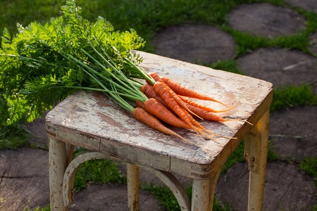 Fresh organic carrots with green leaves on old wooden chair. Healthy farmer food conceptの写真素材