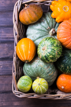 Varieties of pumpkins and squashes collection.の写真素材