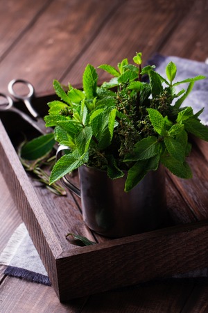 Fresh mint in tin cup on rustic wooden backgroundの写真素材