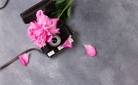Beautiful pink peony flowers on grey tableの写真素材