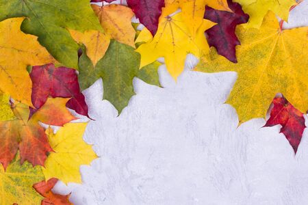 Vintage Autumn border from fallen leaves on grey marbleの写真素材