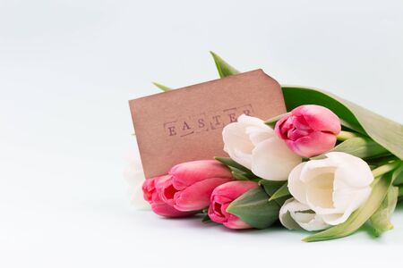 easter composition with fresh tulips over whiteの写真素材