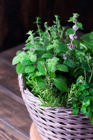 Aromatic herbs bunch, basil, mint and oregano in wicker basketの写真素材