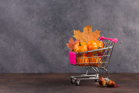 Halloween decorations on the dark background. Funny halloween toys.の写真素材
