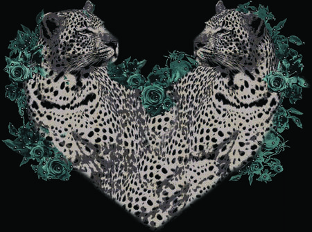 leopard heart illustrationのイラスト素材