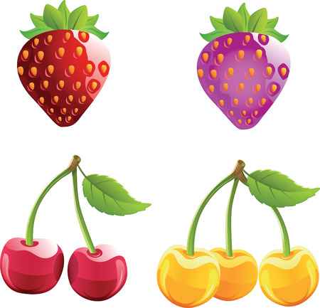 Summer fruits.のイラスト素材