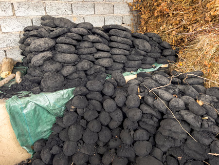 Pile of black coal, closeup of photoの写真素材
