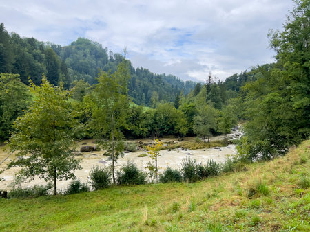 River in the Carpathian mountains. Ukraine, Carpathiansの写真素材