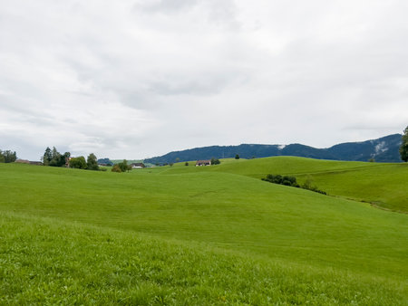 Beautiful landscape. Green meadowの写真素材