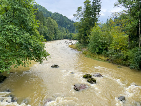 Landscape with river and forest in Carpathian mountains, Ukraineの写真素材