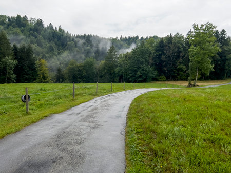 Dirt road through a green meadow in the Carpathian Mountainsの写真素材