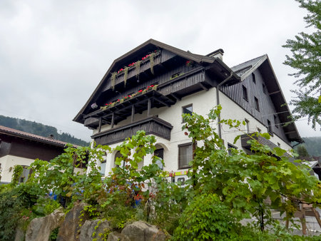 A beautiful house with grapes.の写真素材