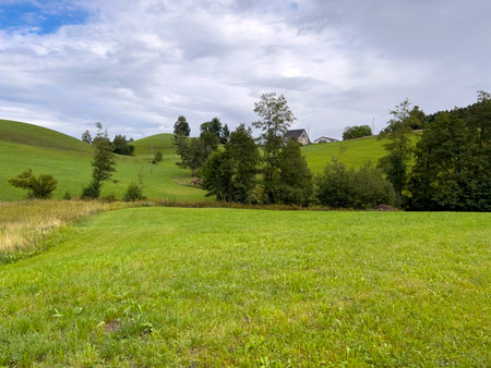The meadows in Switzerland are always green.の写真素材