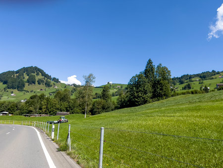 Along the road green meadow.の写真素材