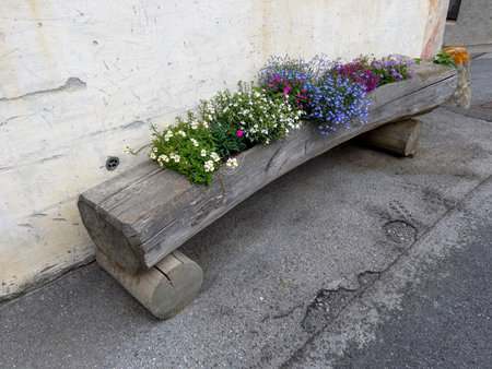 A creative flower trough with colorful flowers.の写真素材