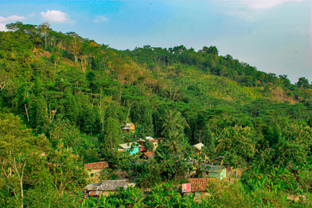 The surrounding view from the top of the hill