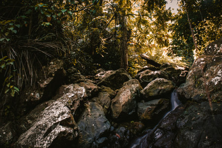 A beautiful waterfall in the interior of the forest