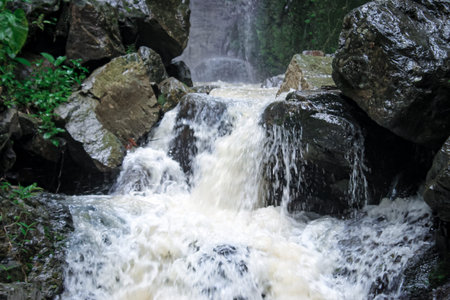 A beautiful waterfall in the interior of the forest