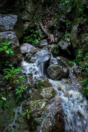 A beautiful waterfall in the interior of the forest