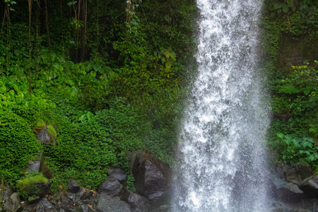 Waterfall scenery background surrounded by greenery in the forest