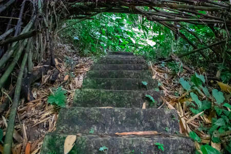 A steep staircase made of cement and stone that sits on a mountain cliffの写真素材