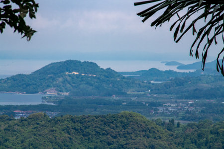 A view of the mountains filled with green trees and there are residential areas below