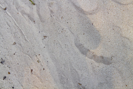 White sand texture background on the beach