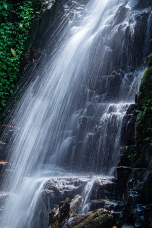 A waterfall in the middle of a forest with a stone wall around itの写真素材