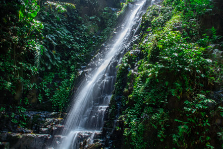 A waterfall in the middle of a forest with a stone wall around itの写真素材
