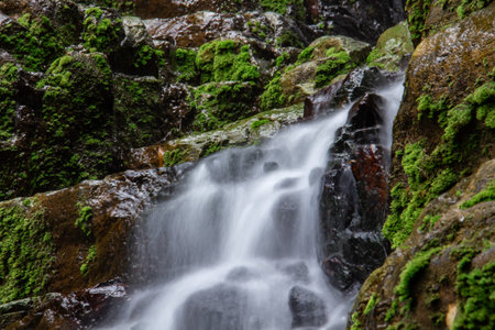 The water flows through the mossy rock, like a small waterfall