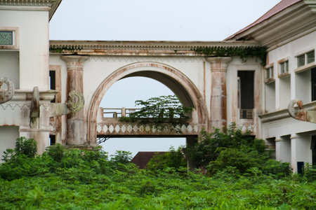 An unused white building whose yard is filled with shrubsの写真素材