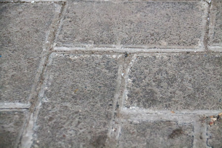 Cobblestone pavement closeup. Abstract background for design.の写真素材