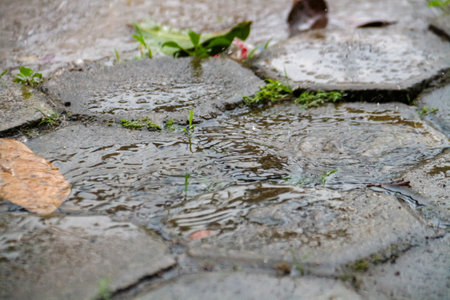 Raindrops on the cobblestone pavement in the city park.の写真素材